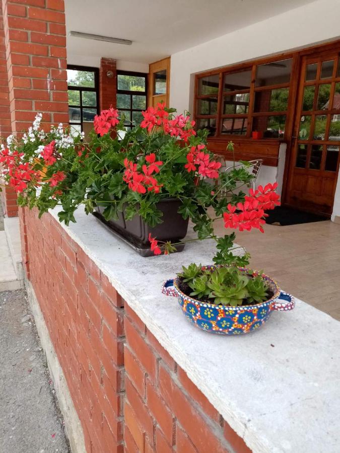 Apartman Dunja I Milos Мокра-Гора Экстерьер фото
